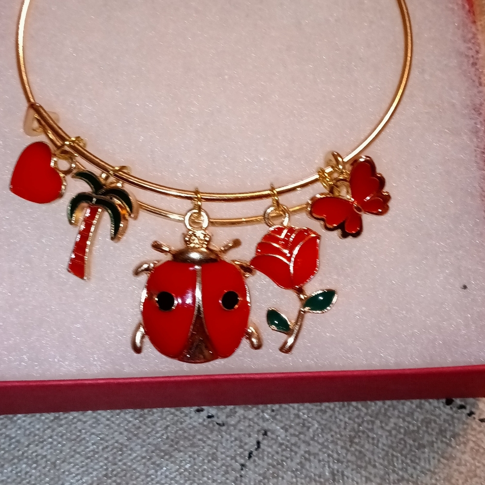 Lady bug charm bracelet